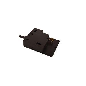 Grill Door Microswitch J00114079