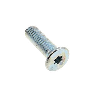 FIXING GLASS SCREW J00115859